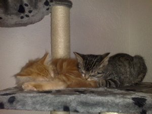 02112011712 Forum.jpg