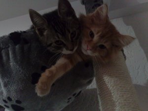 02112011725 Forum.jpg