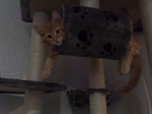 01112011694 Forum.jpg