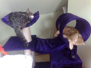 30122011815 Forum.jpg