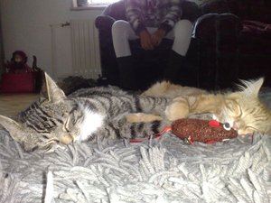 03122011781 Forum.jpg