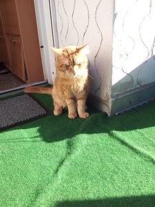 20120526_183628 Forum.jpg