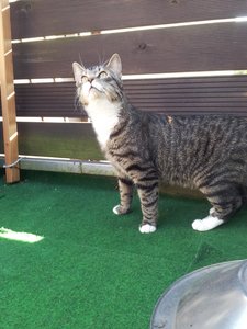 20120526_183735 Forum.jpg