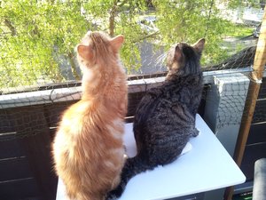 20120526_184132 Forum.jpg