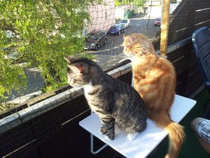 20120526_184312 Forum.jpg