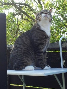 20120526_192638 Forum.jpg