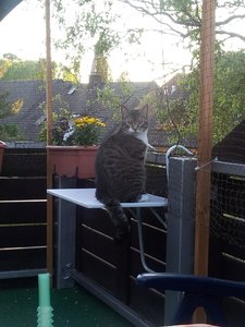 20120528_205734 Forum.jpg