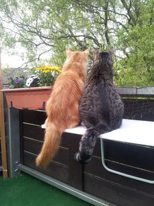 20120529_185629 Forum.jpg