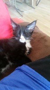 20151011_122232 Forum.jpg