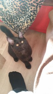 20151011_102412 Forum.jpg