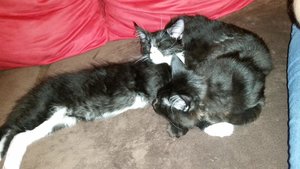 20151024_193745 Forum.jpg