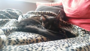 20151017_123830 Forum.jpg