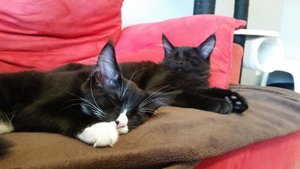 20151014_110831 Forum.jpg