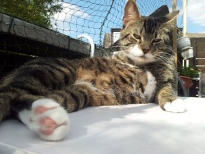 20120720_172919 Forum.jpg