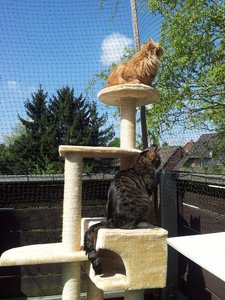 20130505_111906 Forum.jpg