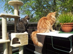 20130505_113320 Forum.jpg