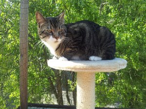 20130603_181504 Forum.jpg