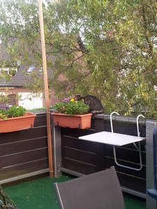 20120802_082256 Forum.jpg