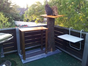 20130610_203549 Forum.jpg