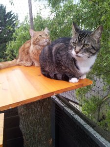 20130612_200041 Forum.jpg