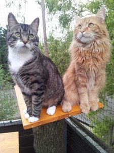 20130612_200302 Forum.jpg