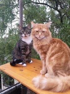 IMG-20131004-WA0006 Forum.jpg