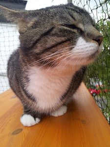 20130612_200923 Forum.jpg