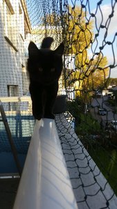 20151029_160423 Forum.jpg