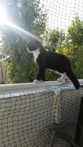 20151101_124024 Forum.jpg