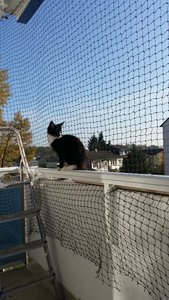 20151101_124218.jpg 20151101_124218.jpg