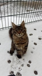 12507243_10207574517698590_9022121075701210995_n (1).jpg