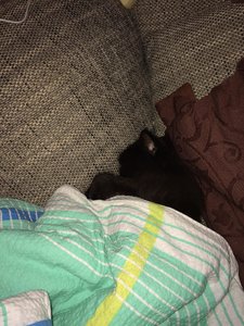 2015-12-25 14.46.38.jpg