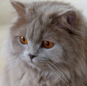 Quincel grüßt Krabbe.jpg