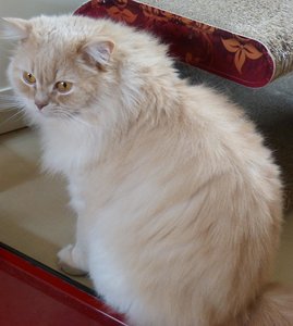 Lucky grüßt Krabbe.jpg