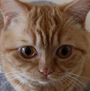 Reddi grüßt Krabbe.jpg