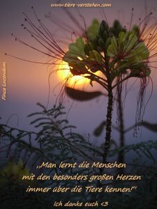 man lernt die Menschen mit den großen Herzen.JPG