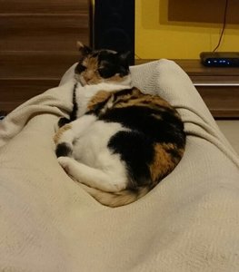 FullSizeRender (3).jpg