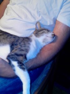 Pinky+Smartie 284.jpg