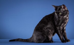 Atum (44 von 70).jpg