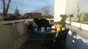 20160213_091937.jpg 20160213_091937.jpg