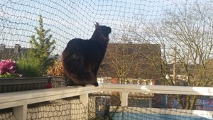 20160213_092157.jpg 20160213_092157.jpg