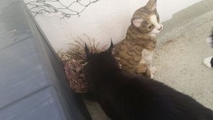 20160213_092420.jpg 20160213_092420.jpg