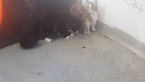 20160213_093023.jpg 20160213_093023.jpg