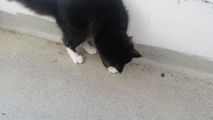 20160213_093029.jpg 20160213_093029.jpg