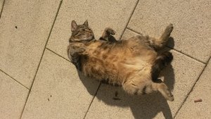 2014-03-12 14.01.26.jpg