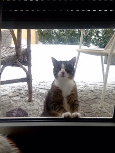 FullSizeRender 3.jpg