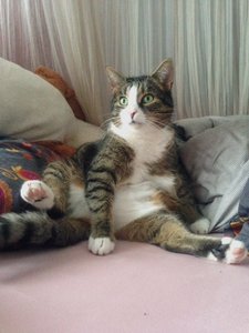 FullSizeRender 2.jpg