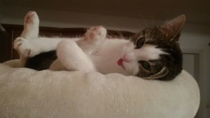 Lusy 03.03.2016 a.jpg