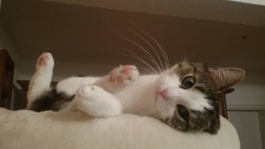 Lusy 03.03.2016 c.jpg