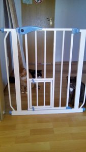 struppie tag 6-1.jpg